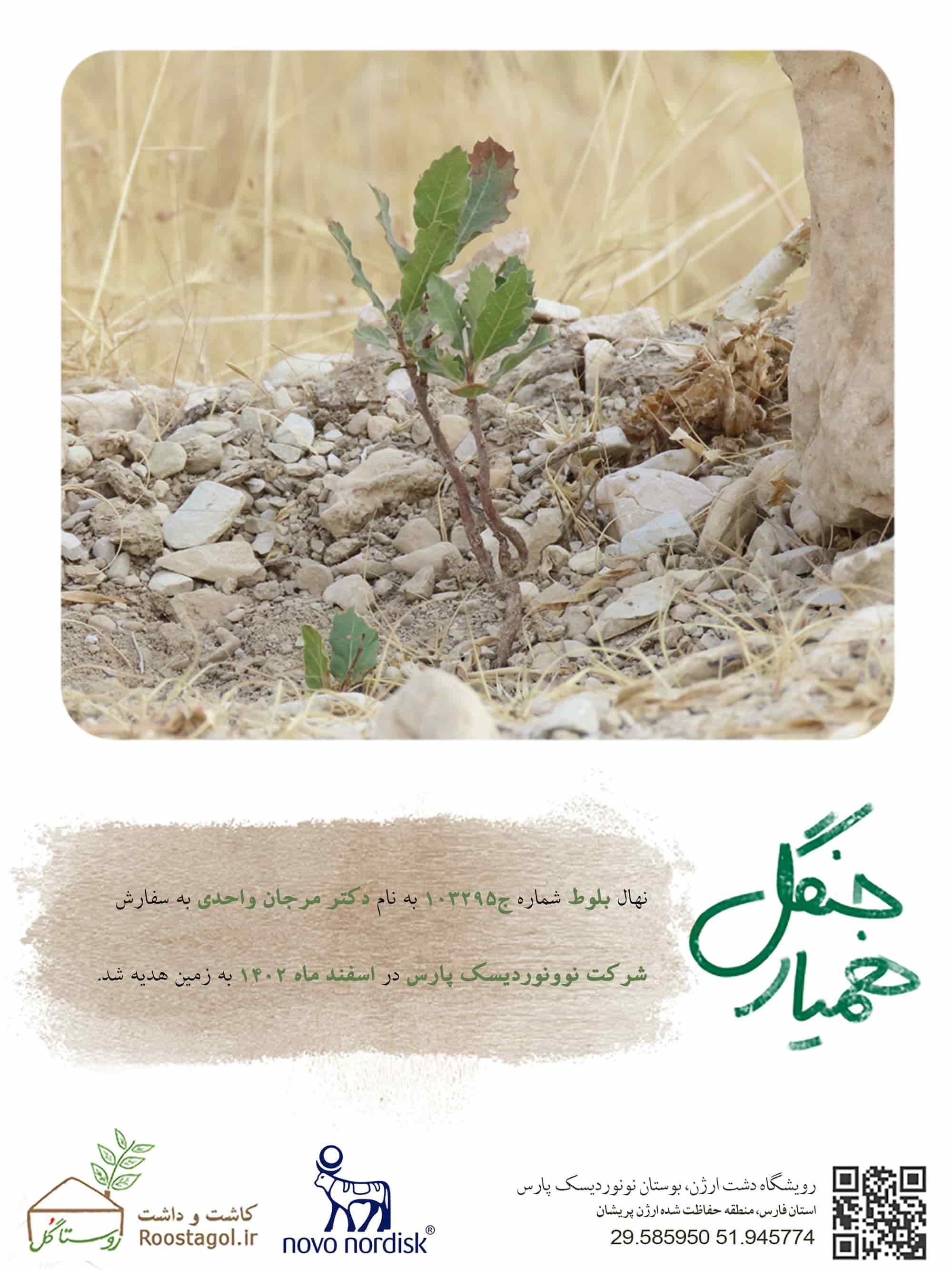 سفارش درخت
